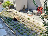 Finishing Garten